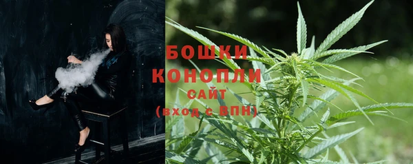 прущие крисы Белоозёрский